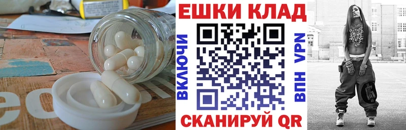 площадка состав  Полярный  Ecstasy бентли 